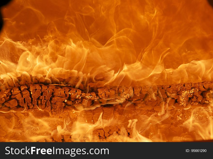 Flame, Geological Phenomenon, Computer Wallpaper, Organism