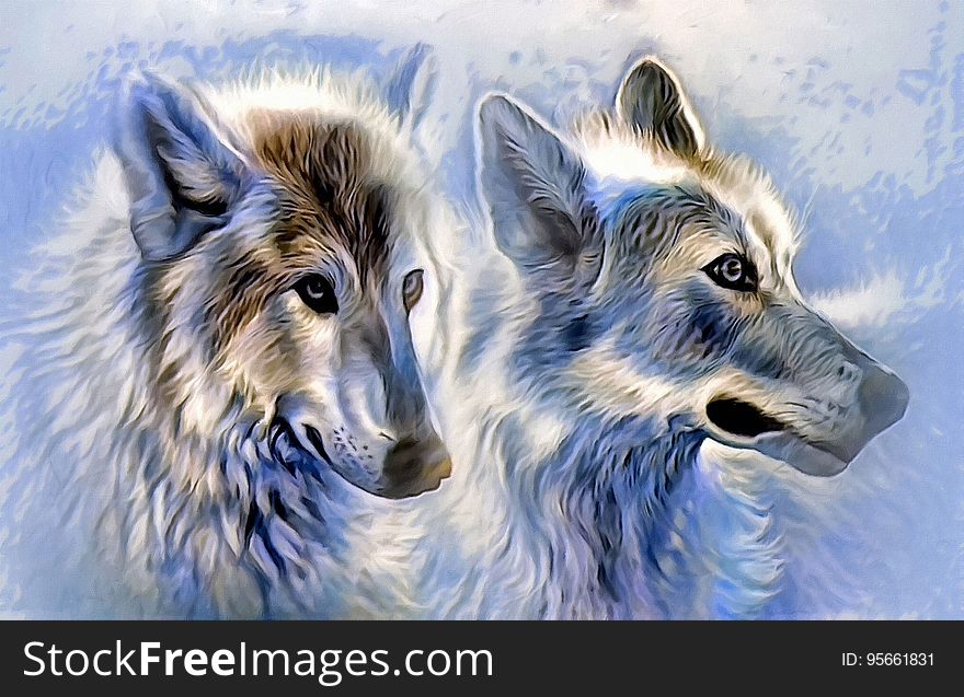 Wolf, Wildlife, Painting, Dog Like Mammal