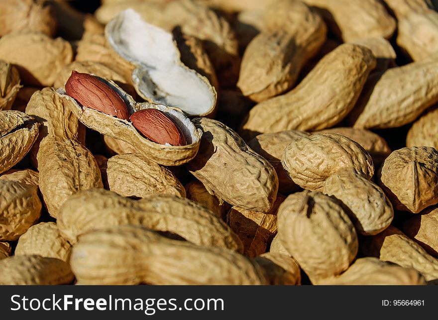 Peanut, Nut, Produce, Tree Nuts
