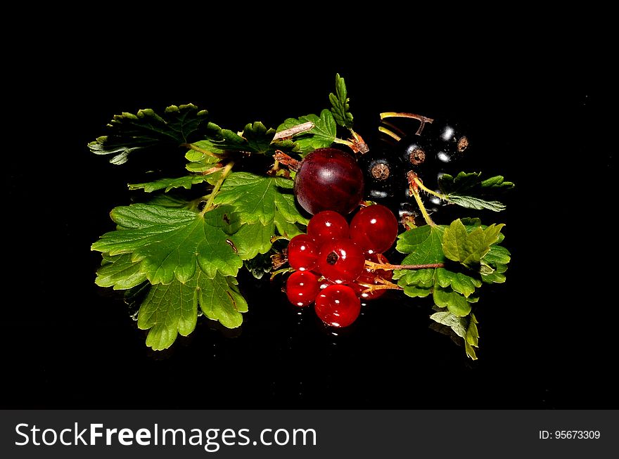 Fruit, Berry, Natural Foods, Currant