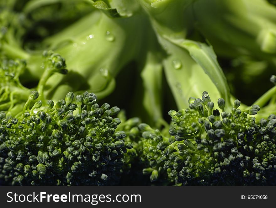 Broccoli, Leaf Vegetable, Water, Drop
