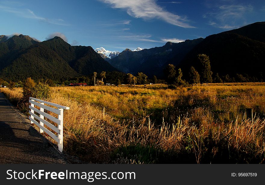 Fox Glacier. Westland National Park.NZ