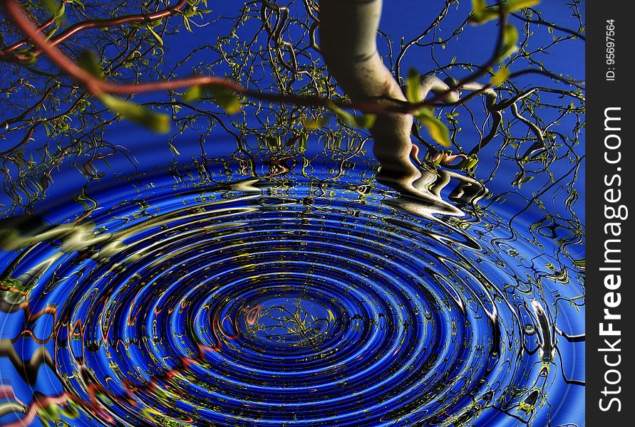 Surface of water reflecting tree branches with rings of water ripples. Surface of water reflecting tree branches with rings of water ripples.