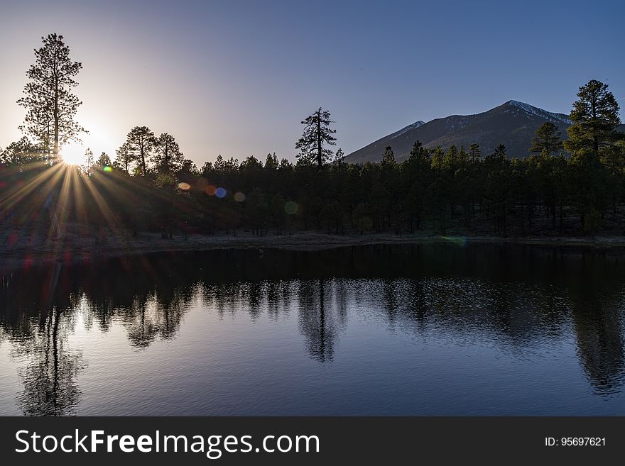 Following a winter of heavy snows, Schultz Tank was full to the point of overflowing in the spring of 2017. This is the view of the smaller, upper tank. Schultz Tank is a man-made pond nestled between the San Francisco Peaks and Dry Lake Hills at Schultz Pass. Two earthen dams create a pair of reservoirs along the drainage, creating a small upper tank and larger lower tank. The tank is a haven for wildlife. A few ducks will live on the pond through the summer months. Small birds can usually be seen cavorting over the pond chasing flying insects. On quiet days, elk and deer may appear in the twilight hours. To ensure wildlife have access to water, state law prohibits camping within a quarter mile of a wildlife tank. Photo by Deborah Lee Soltesz, April 2017. Credit: Coconino National Forest, U.S. Forest Service. Learn more about Schultz Tank on the Coconino National Forest. Following a winter of heavy snows, Schultz Tank was full to the point of overflowing in the spring of 2017. This is the view of the smaller, upper tank. Schultz Tank is a man-made pond nestled between the San Francisco Peaks and Dry Lake Hills at Schultz Pass. Two earthen dams create a pair of reservoirs along the drainage, creating a small upper tank and larger lower tank. The tank is a haven for wildlife. A few ducks will live on the pond through the summer months. Small birds can usually be seen cavorting over the pond chasing flying insects. On quiet days, elk and deer may appear in the twilight hours. To ensure wildlife have access to water, state law prohibits camping within a quarter mile of a wildlife tank. Photo by Deborah Lee Soltesz, April 2017. Credit: Coconino National Forest, U.S. Forest Service. Learn more about Schultz Tank on the Coconino National Forest.