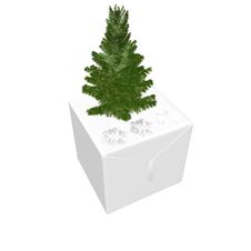 Bare Christmas Tree Ready To Decorate Royalty Free Stock Photography