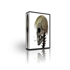 Blank CD DVD Box Template Stock Photography Blank CD DVD Box Template Stock Photography