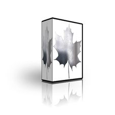 Blank CD DVD Box Template Stock Image Blank CD DVD Box Template Stock Image