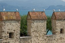 Sea Gulls Onto Castle Pinnacles Stock Image