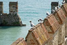 Sea Gulls Sitting Onto Castle Pinnacles Royalty Free Stock Image