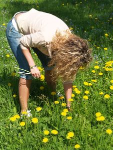 Curly Girl Picking Flowers Stock Image Curly Girl Picking Flowers Stock Image