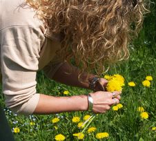 Curly Girl Picking Flowers Stock Images Curly Girl Picking Flowers Stock Images