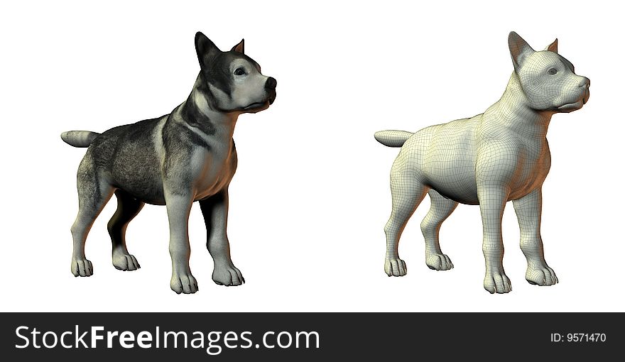 Malamute dog 3d model isolated on white