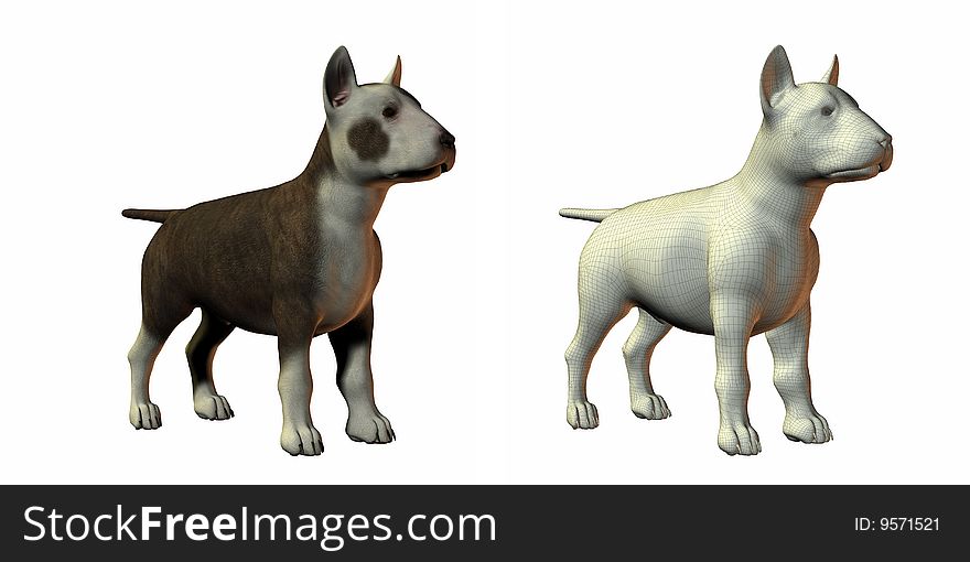 Bull terrior dog 3d model isolated on white