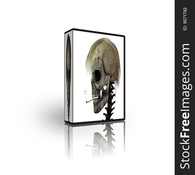 Blank CD DVD box template isolated on white