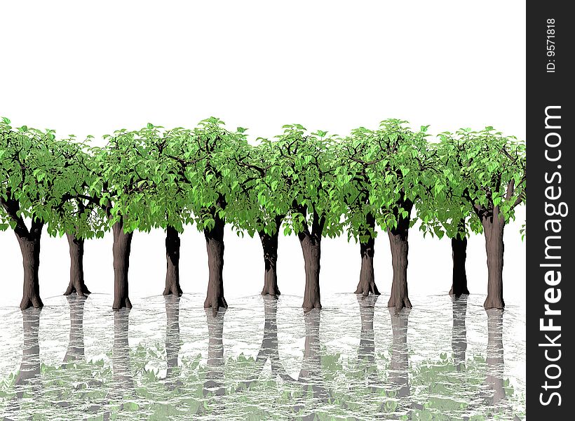 Green Trees In Water With Reflection On White Back