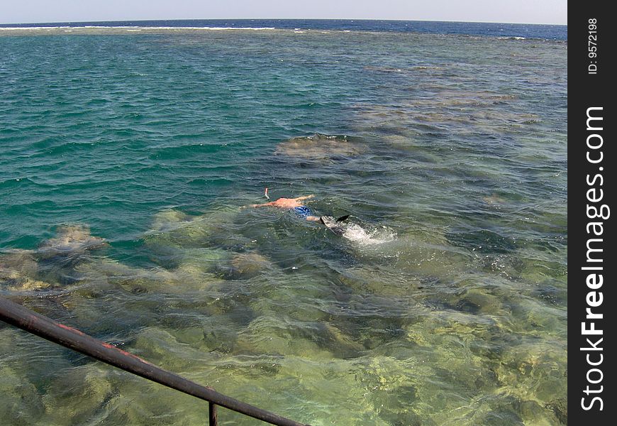 swimming and snorkling in the sea