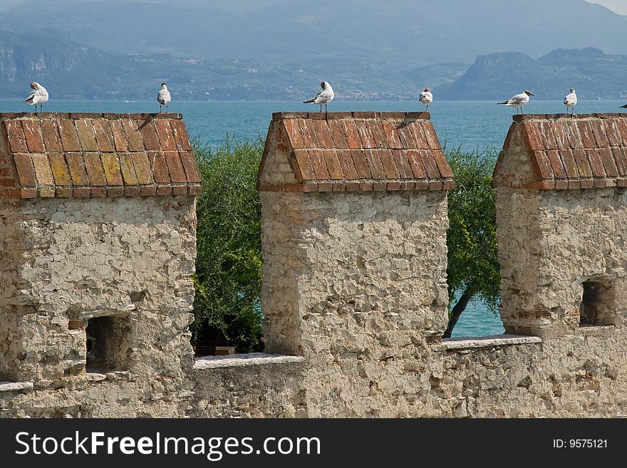 The picture shows sea gulls onto castle pinnacles in Sirmione at the Gardasee, Italy, Europe.