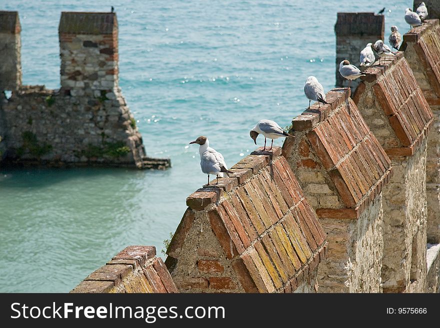 The picture shows sea gulls onto castle pinnacles in Sirmione at the Gardasee, Italy, Europe. Harbour of the old town. The picture shows sea gulls onto castle pinnacles in Sirmione at the Gardasee, Italy, Europe. Harbour of the old town.