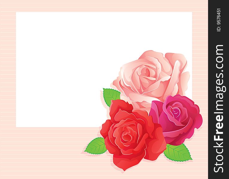 3 roses banner, vector illustration