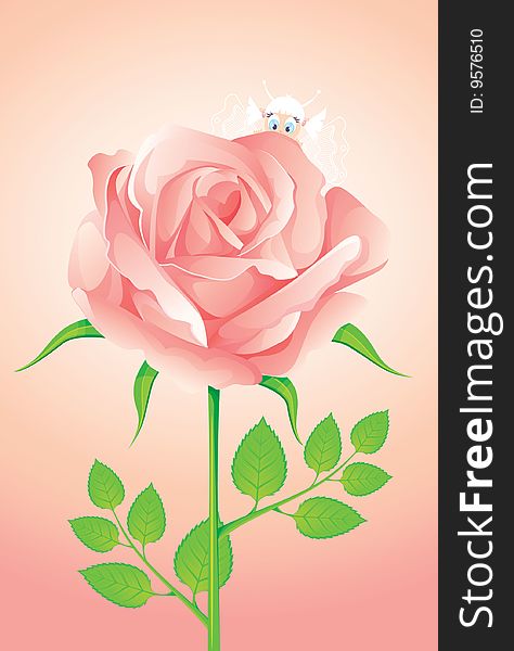 Elegance pink rose, vector illustration