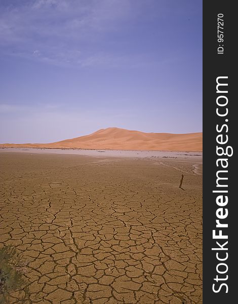 Desert In Morocco