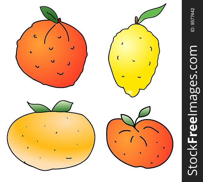 A childish  illustration of 4 citrus fruits isolated on white background.