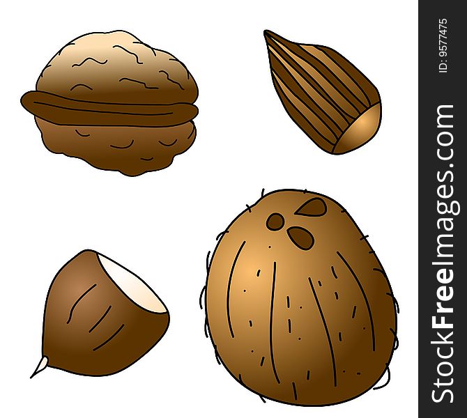 A childish  illustration of 4 nuts isolated on white background.
