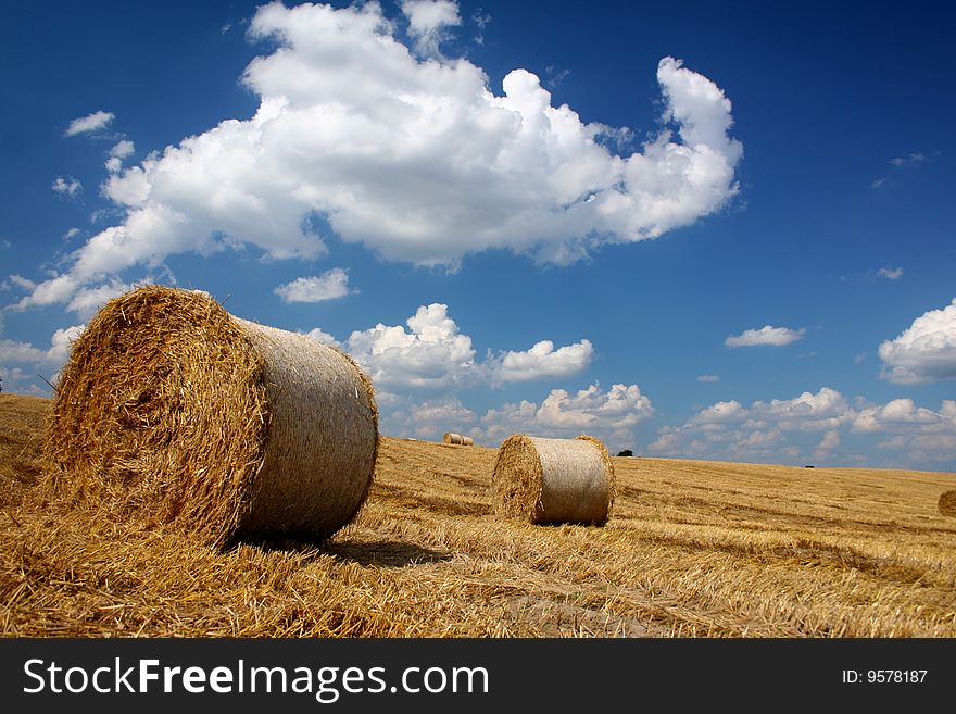 Straw bales in a field