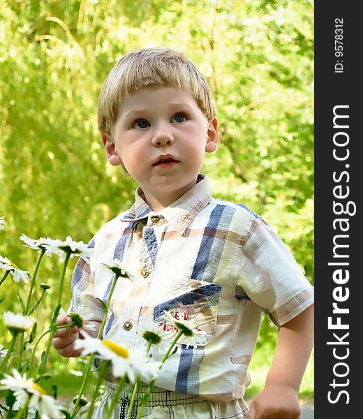 Little boy picking flowers (white field). Little boy picking flowers (white field)