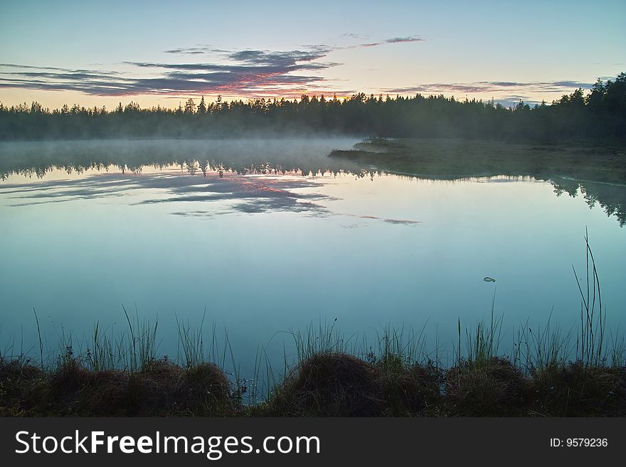 The small lake with pine trees. The small lake with pine trees