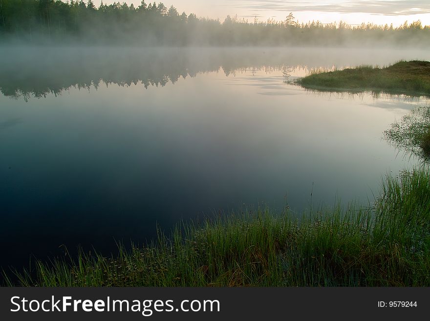 The small lake with pine trees in the mist. The small lake with pine trees in the mist