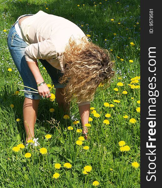 Curly girl picking flowers on dandelion meadow