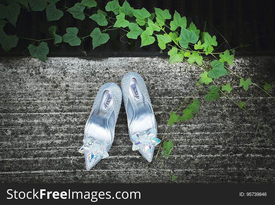 Silver Shoes In Garden