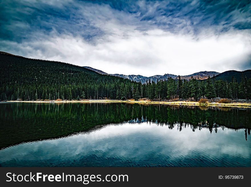 Pine tree forest reflecting in calm waters on sunny day. Pine tree forest reflecting in calm waters on sunny day.