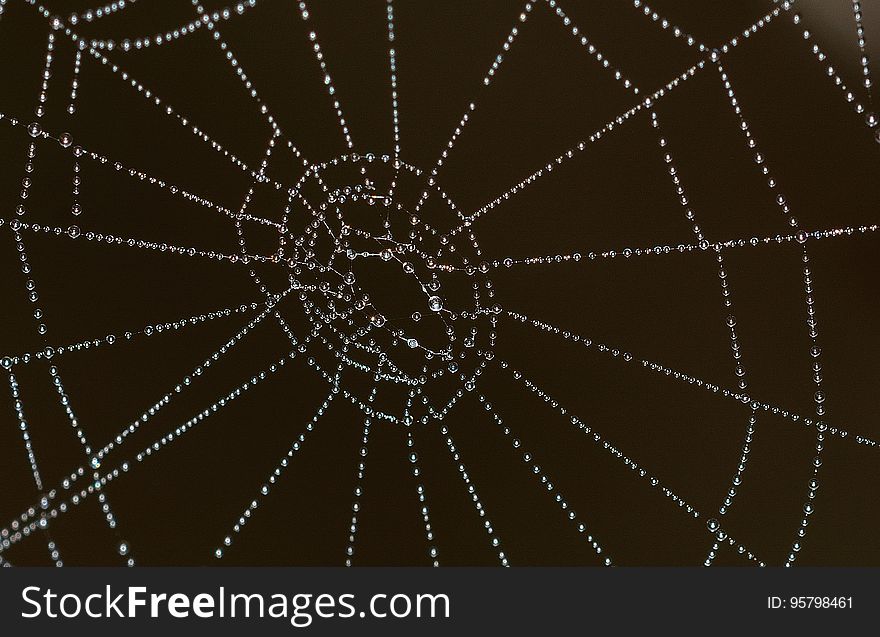 A spiderweb with dewdrops on it against a dark background.