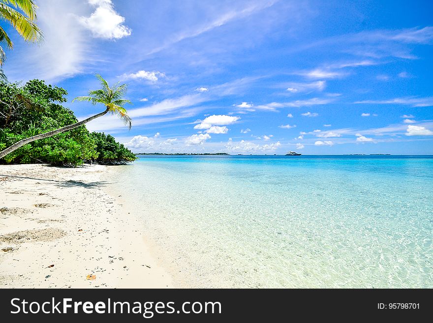 Scenic view of idyllic tropical beach with palm tree, blue sky and cloudscape.