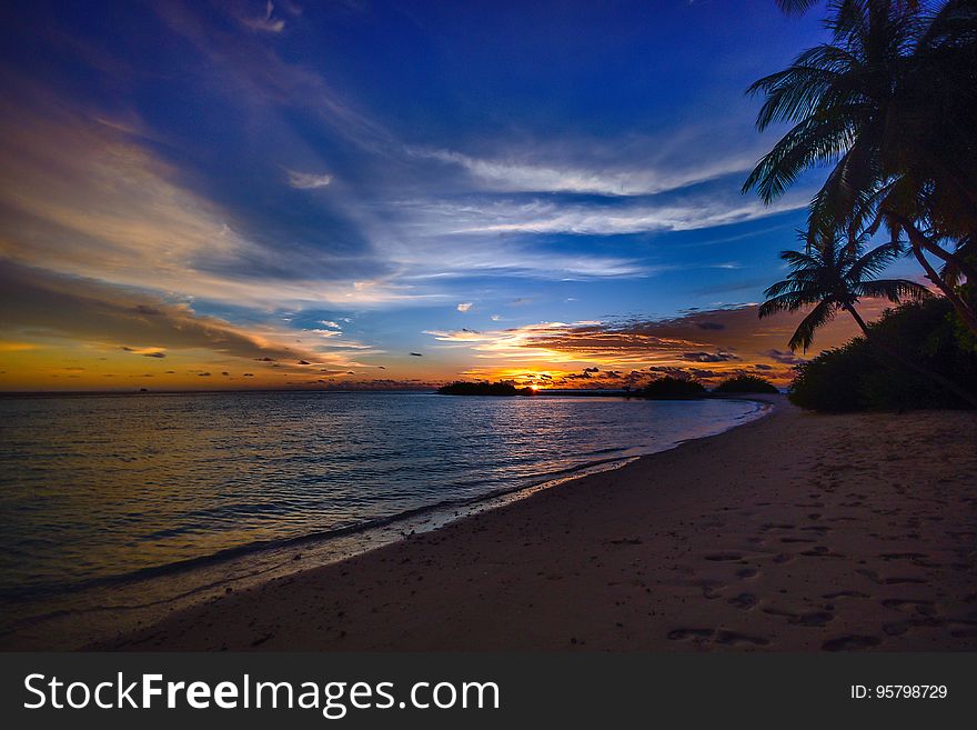 Scenic view of tropical beach at sunset with silhouetted palm trees.