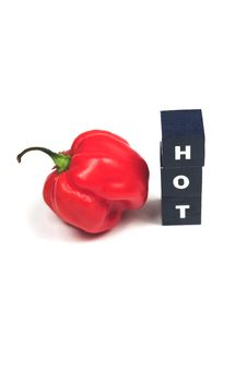 Red Hot Pepper Royalty Free Stock Photo Red Hot Pepper Royalty Free Stock Photo