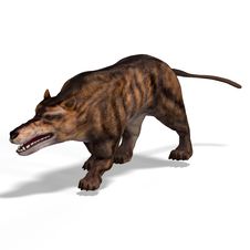 Dangerous Dinosaur Andrewsarchus With Clipping Stock Image Dangerous Dinosaur Andrewsarchus With Clipping Stock Image