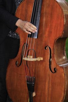 Cello Stock Photo Cello Stock Photo