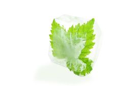 Cube Of Ice Stock Photography Cube Of Ice Stock Photography