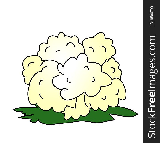 A childish vector illustration of a cauliflower isolated on white background.