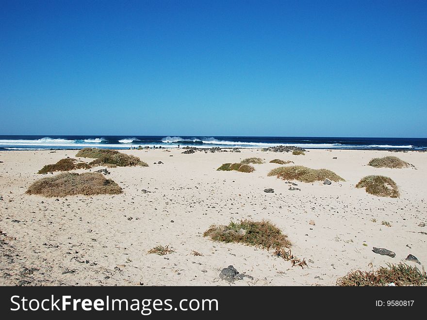 A sunny day at the beach. A sunny day at the beach