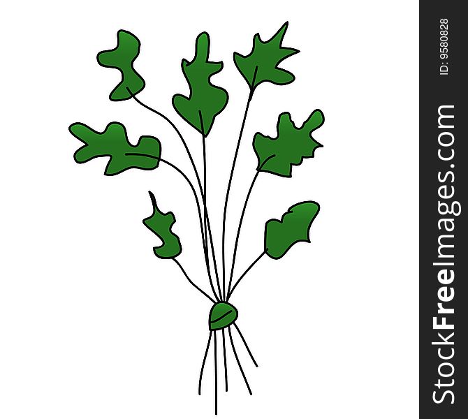 A childish vector illustration of a parsley isolated on white background.