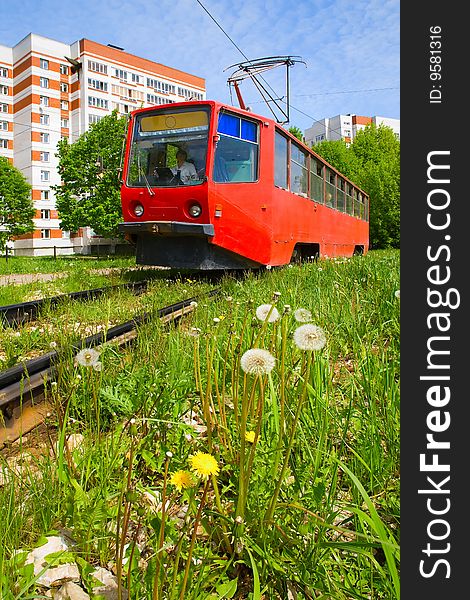 Dandelions and tram in the city at summer