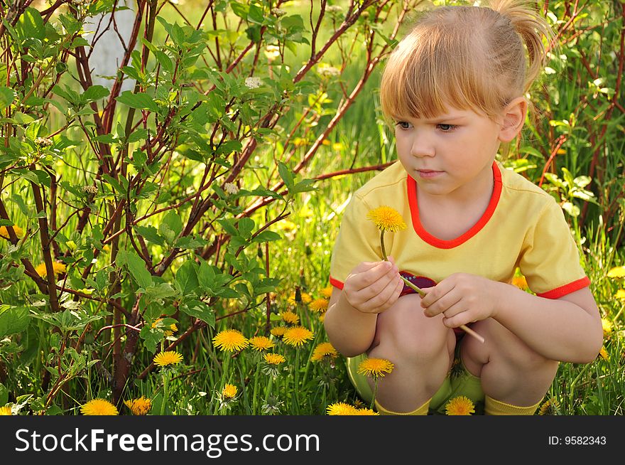 The girl squats among dandelions. The girl squats among dandelions