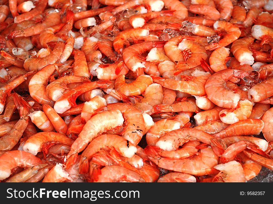 Fresh caught shrimps expect buyers. Fresh caught shrimps expect buyers.