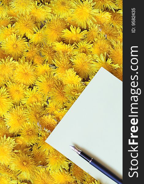 Blank paper sheet and fountain pen lying on dandelion background. Blank paper sheet and fountain pen lying on dandelion background