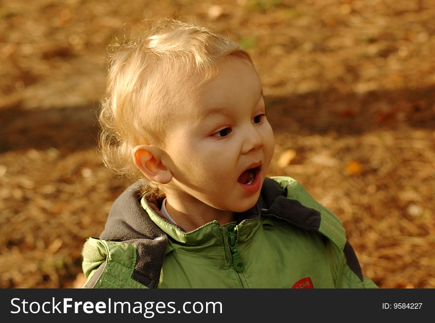 Surprised little child in the park. Surprised little child in the park.