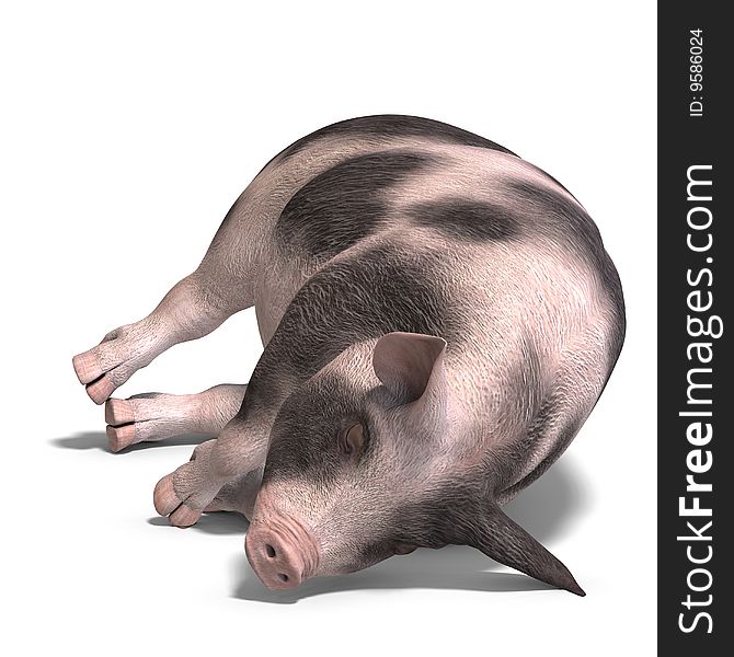 Rendering of a pig with shadow and clipping path over white. Rendering of a pig with shadow and clipping path over white